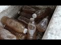 AIR TUAK | NIRA KELAPA | Coconut Sap - How it's Made