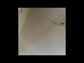 VID 20190827 WA0005