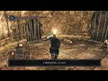 DARK SOULS Ⅱ SCHOLAR OF THE FIRST SIN（PS4）#9