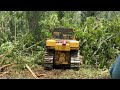 Test the strength! Bulldozzer Caterpillar D6R XL Leveling Forest Big Trees