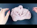 🐽Slime Mixing Random With Piping Bags | Mixing PEPPA Eyeshadow and Makeup Into Slime!