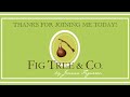 Fig Tree Studio Tour