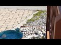 Scrub jay bathing