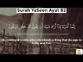 Surah Rahman Surah Yasin Surah Waqia Surah Mulk | best voice Tilawat Quran | Mishary Rashid Alafasy