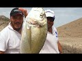 Pesca Rock Fishing | Cattura da Sogno