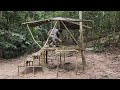 Building Bamboo house, make the floor downstairs, fence for house -Building New Life