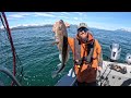 60lb Halibut in Building Seas! 450ft Deep! Alaskan Halibut Fishing - Juneau, Alaska! JUNE 2024