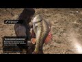 Red Dead Redemption 2 Legendary Largemouth bass