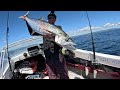 Slow trolling for Mackerel using Tweed Bait and Red & Deadly tow rigs