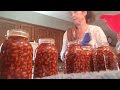 Canning Copycat Bushes Baked Beans