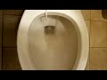 0:60 2010 Proflo Briggs Carlton Confort Height Toilet And 2010 Fv Sink (VMB Plumbing)