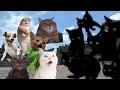 戦闘中をすることになった猫たちの日常Part8【猫ミーム】【猫マニ】