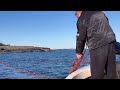 We have to rearrange the Salmon Fishing traps || Wondering why there is no catch