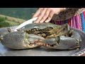 Cooking Big Crabs with Seafood Sauce and Baking Tandoori Penjegish Bread