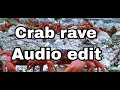 Crab rave Audio edit