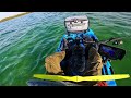 Lake Macquarie Kayak Fishing, Tussling with big Sambo’s in the Swansea Channel (July 25 2024)