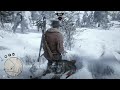 Red Dead Online Funny Moments pt.1