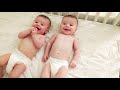 Best Videos Of Cute and Funny Twin Babies Compilation   Twins Baby Videos