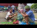 Disabled family harvests muskmelons and sells them at the market - Earn money to buy household items