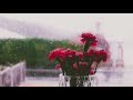 Throw Stress Away with Relaxing Jazz Music & Rain Sound - Meditation, Stress Relief Music