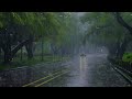 Defeat Stress and Insomnia with Heavy Rain, strong Winds on the road in the dense forest