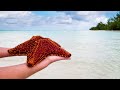 CAYMAN ISLANDS VIRTUAL TRAVEL TOUR | TRAVEL DISCOVERY