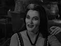 An Odd Couple of Munsters | Compilation | The Munsters