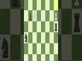 a stupider chess game #chessgame #chess #chessnerd #fyp #checkmate #gigachad #shorts #short