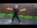Kung Fu Technique - Wu Long Pan Da | KungFu.Life Tutorial