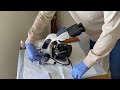 Microscope Cleaning and Care