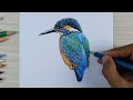 Realistic painting Kingfisher bird