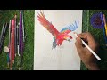 Step by Step Parrot 🔥 Colour Drawing  || Tutorial || how to ✨