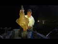 Bream and Jewfish Newcastle Harbour