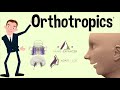 The Orthotropic® Story   Dr William M Hang