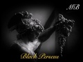 Black Perseus Vlog