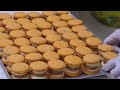 Amazing macaron mass production! Top 5 Delicious Korean Macarons Collection - Korean street food