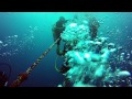 Scuba Diving - Key Largo - Spiegel Grove