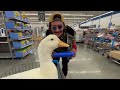 I took my duck Shopping 🛒🦆