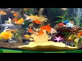 Video Collection Cute Colorful Animals, Sharks, Goldfish, Dolphins, Seahorses, Lionfish,Snakes,Ducks