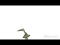 Pivot: Hatzegopteryx thambema