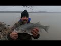 Spring 2022 Striper Journey Continues for Mr Poseidon on the Hudson!