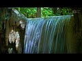 Calming waterfall sounds for relaxation. Peaceful forest stream noise. 10 hours