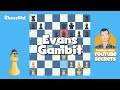 Everything You Need To Know About The Evans Gambit