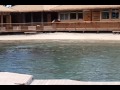 Resort Dolphin Encounter