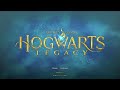 Hogwarts Legacy Best graphic settings 100% difference! professional calibration