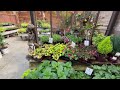 Let’s Go Plant Shopping!🌿 Greenhouse + Houseplant Nursery Tour🪴 *the cutest places