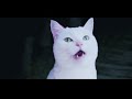 猫ミームから始まる謎の物語《後編》【猫ミーム】【猫マニ】