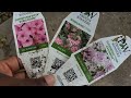 FRONT PORCH CONTAINERS / HOME DEPOT INVENTORY/ IMPATIENS /  CONCRETE FLOWERPOTS / GARDEN QUEEN