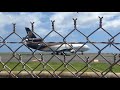 UPS MD-11 (N281UP) Taxi HNL (Loud Engines)