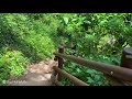 [4K] Korea Walk - Busan National Geopark 